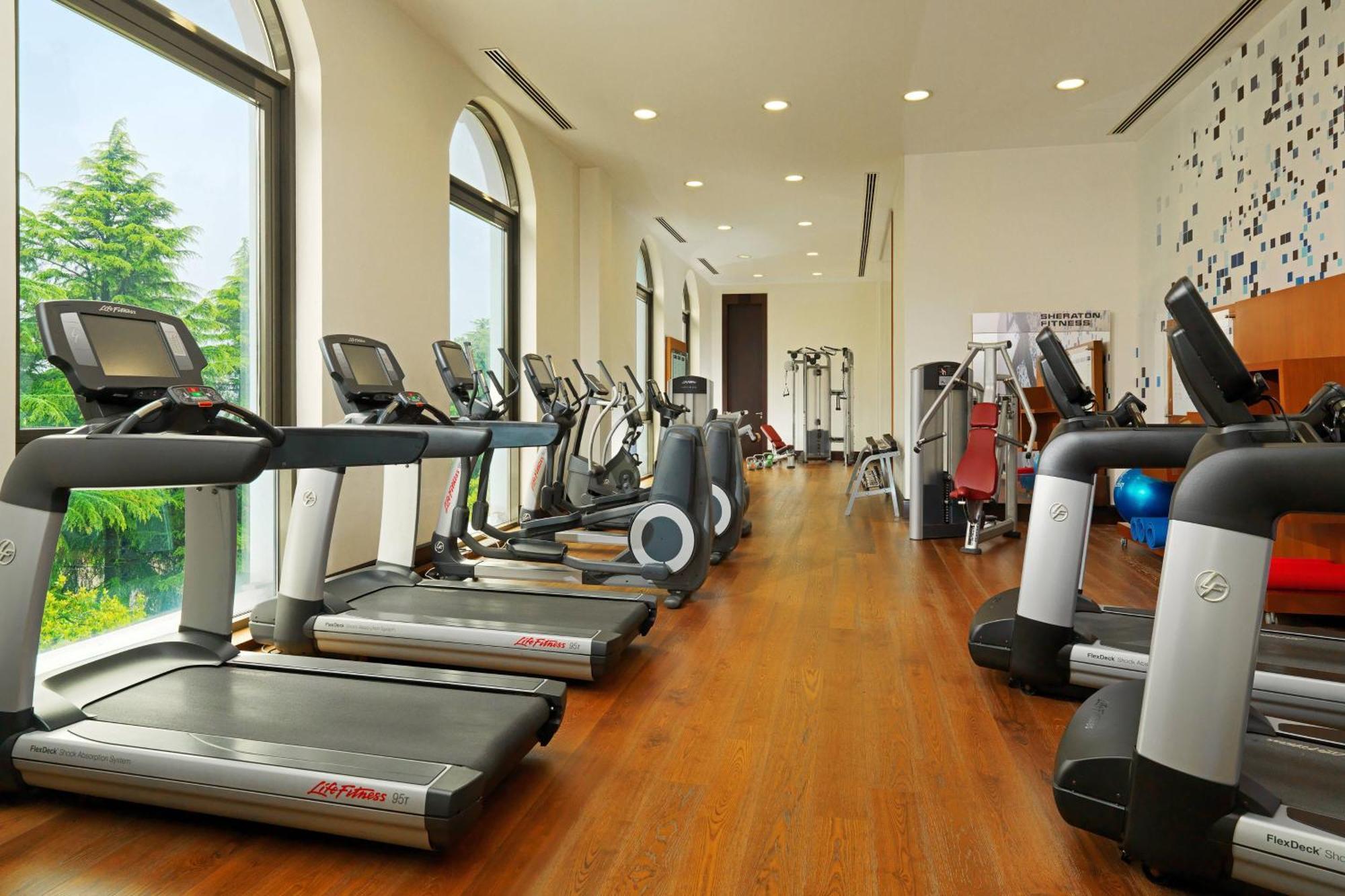 Sheraton Batumi Hotel Εξωτερικό φωτογραφία The gym at the Taj Bengal